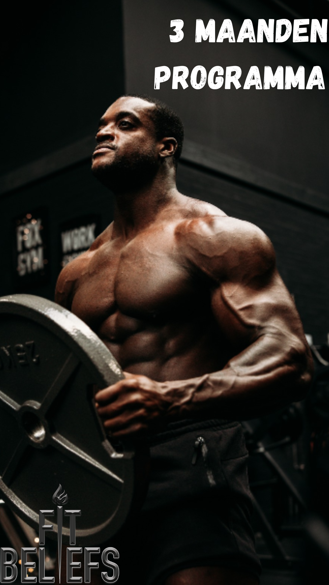 3 Maanden Programma - Sculpt and Strengthen